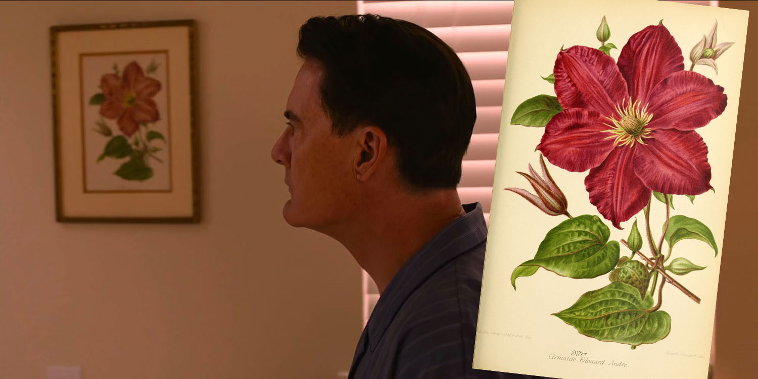 Dougie Jones approaching a mirror and Clematis artwork