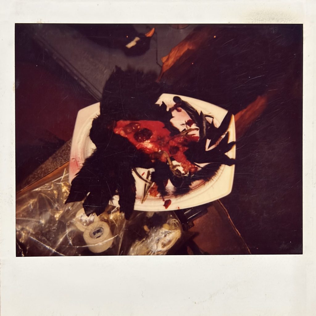 Polaroid photo of fake dead Waldo the Myna Bird