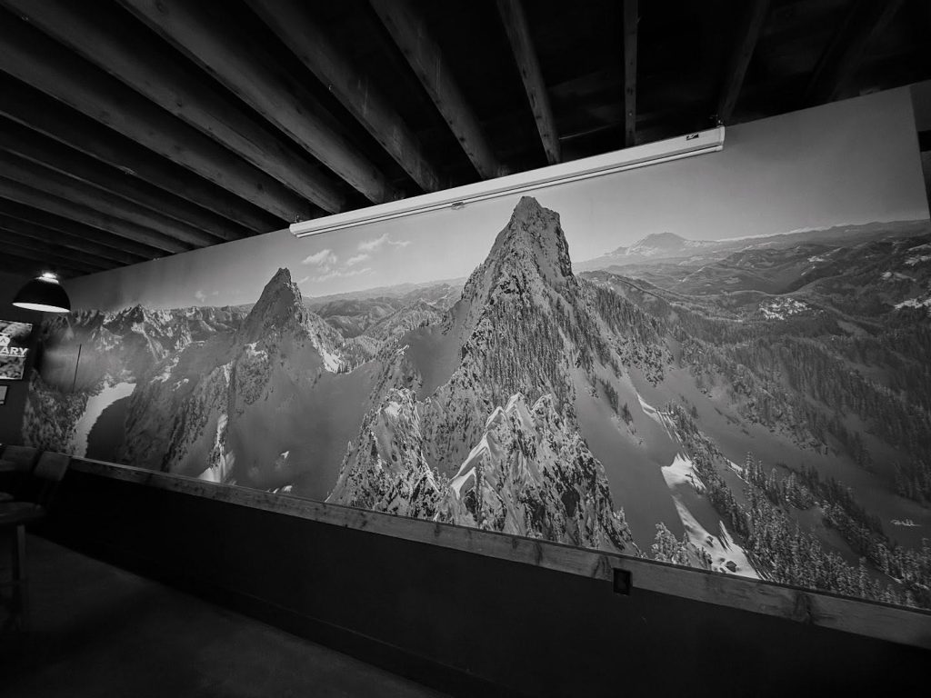 Mural by Scott Rinckenberger in Volition Brewing Co.