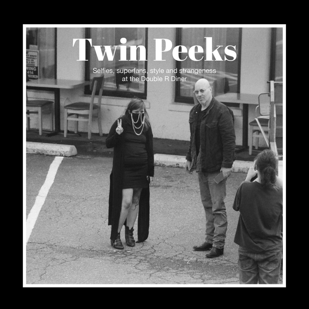 Cover of "Twin Peeks" book by Scott Rinckenberger