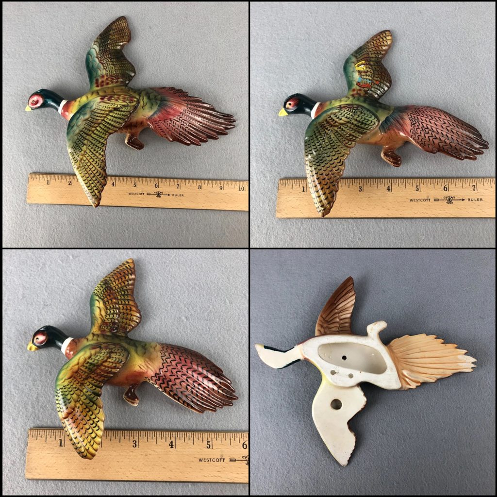 Pheasant measurements