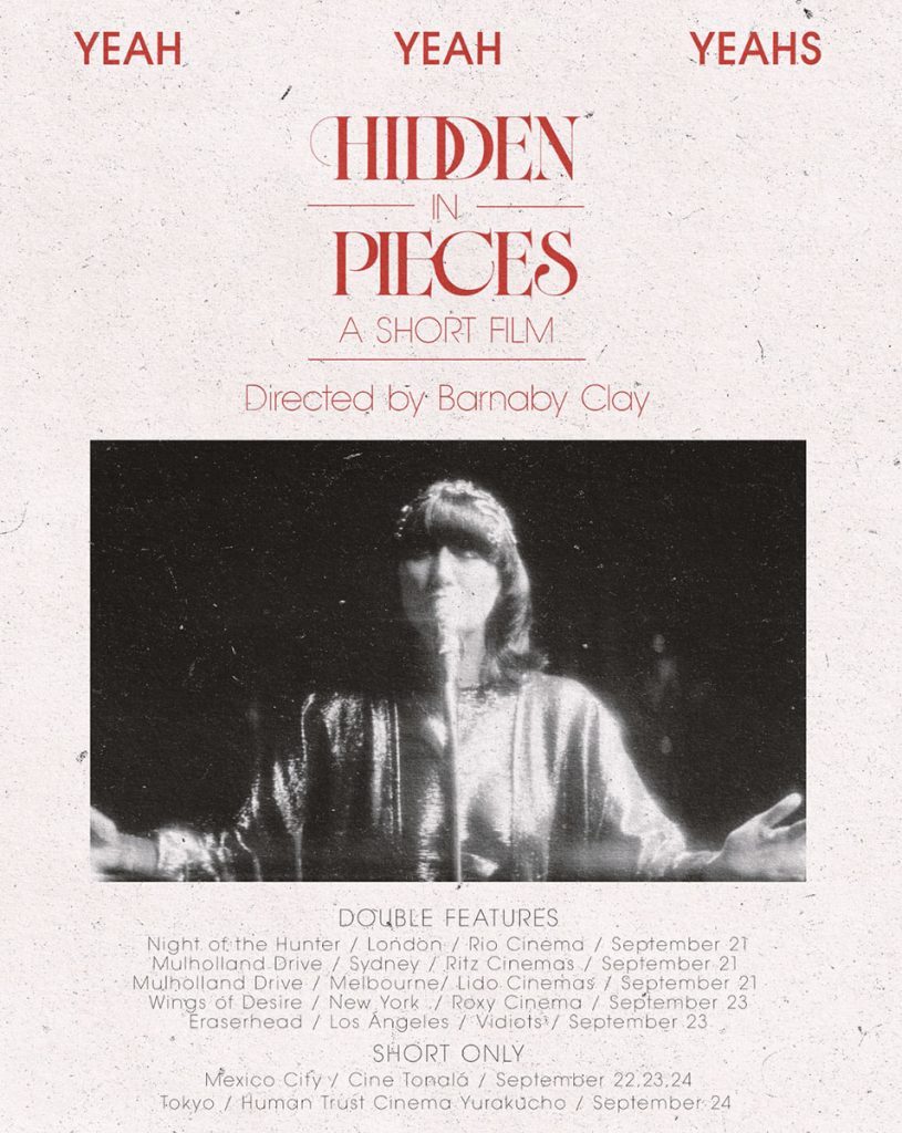 Hidden In Pieces