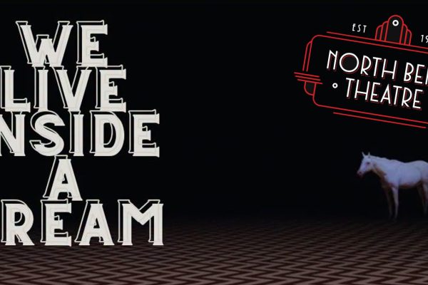 We Live Inside a Dream Logo
