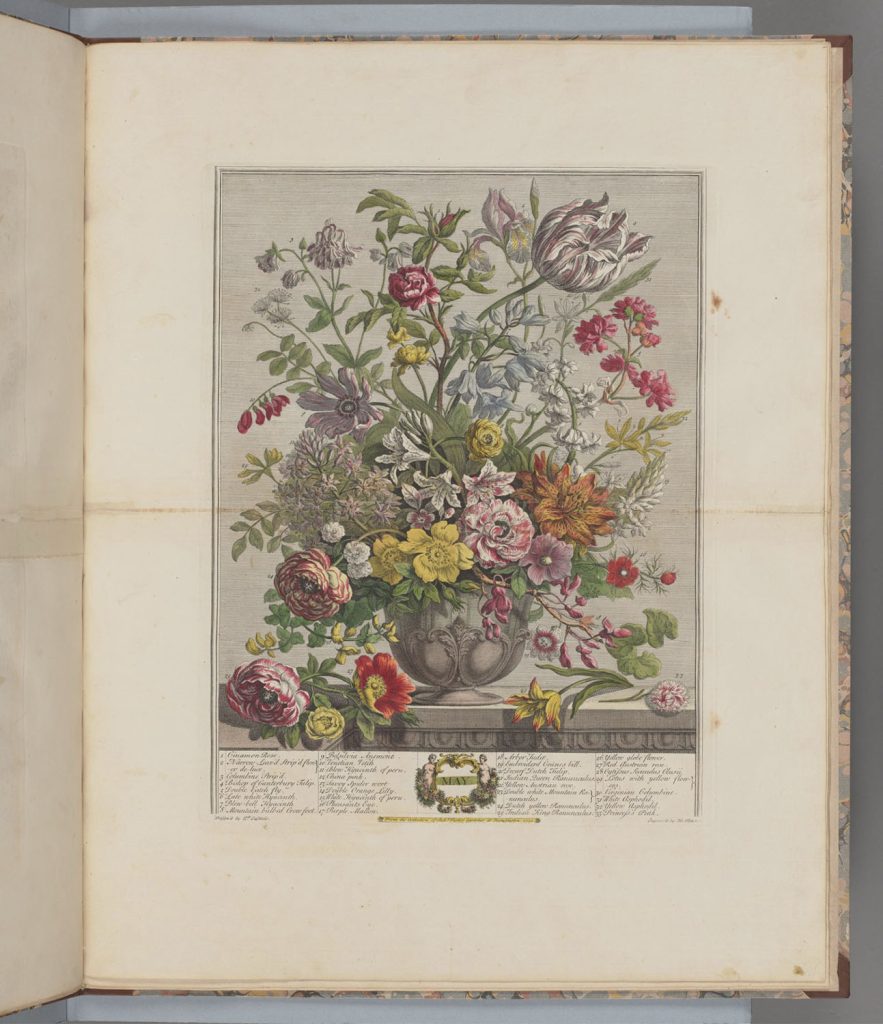 Book page with floral print