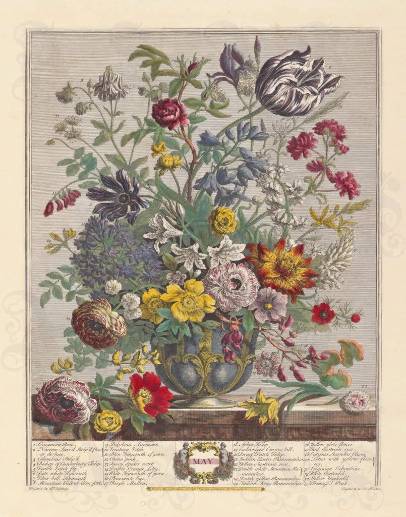 May Floral Print