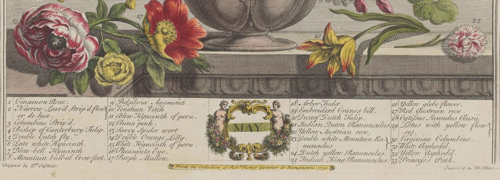 Flower descriptions