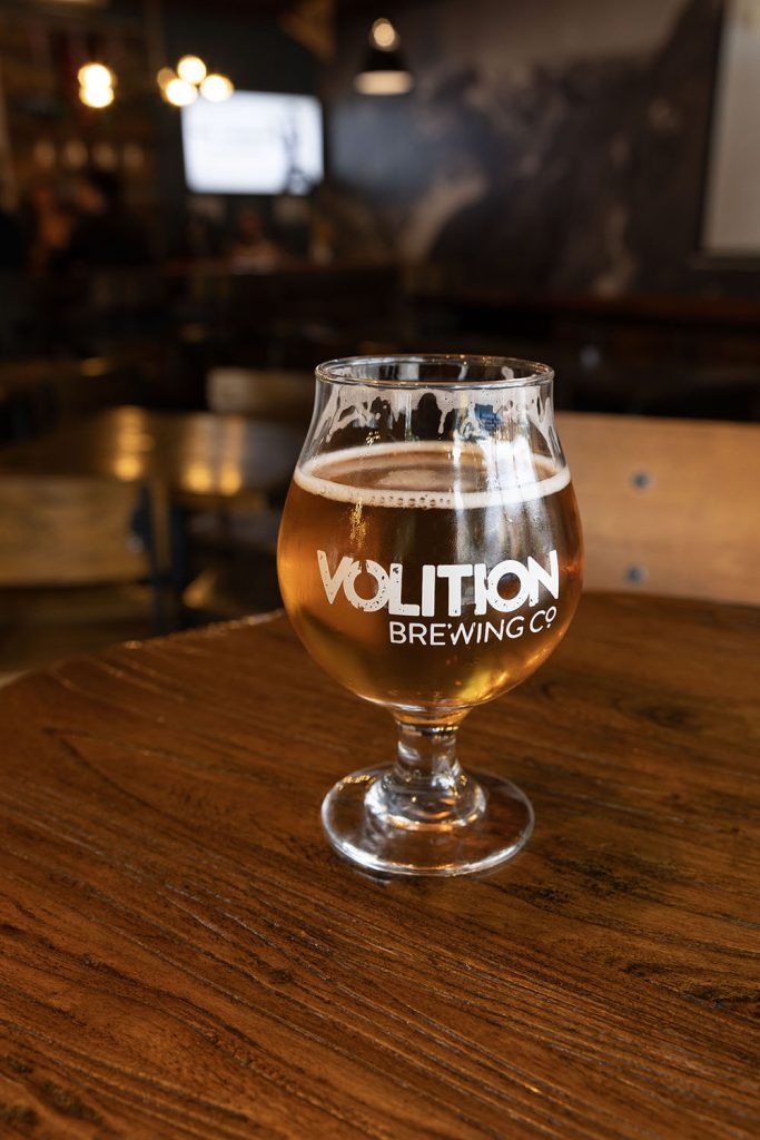Glass of Beer from Volition Brewing Company