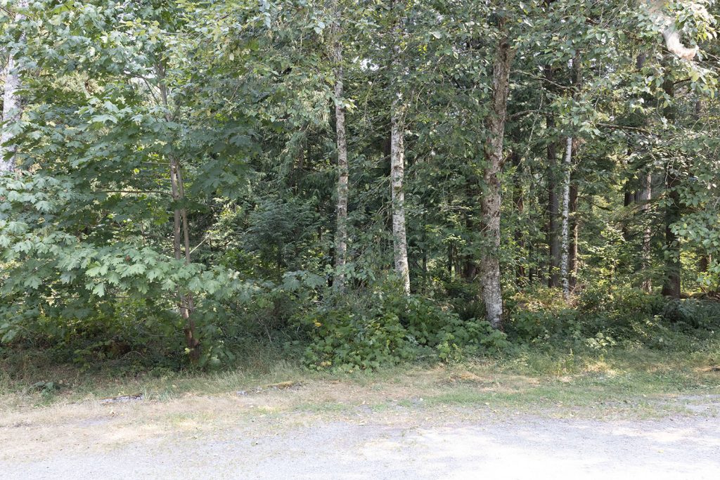 Olallie State Park parking lot