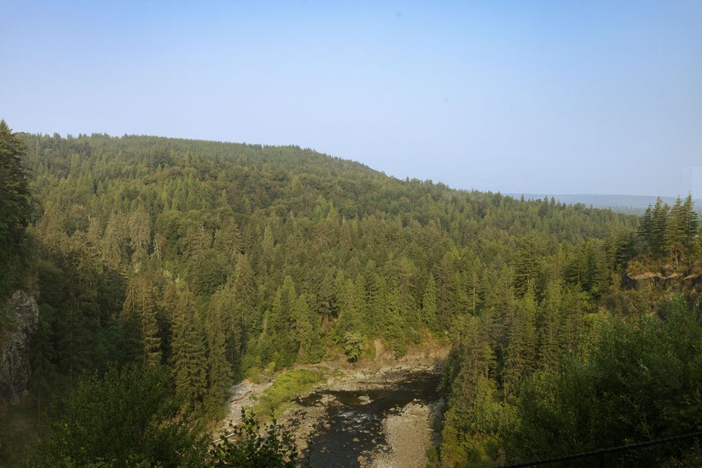 Tree covered mountains as seen from Salish Lodge & Spa