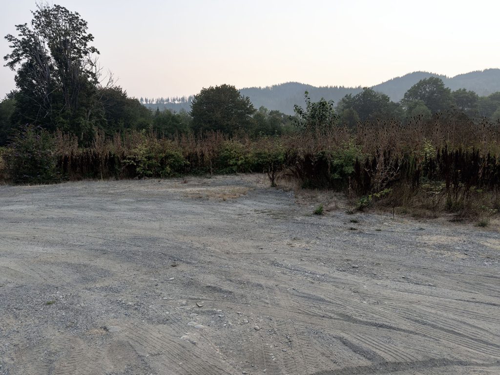 Empty lot with grass and trees