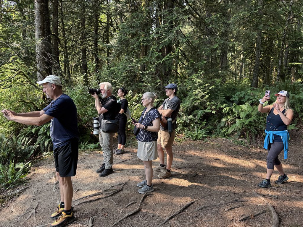 Group of people looking at the falls