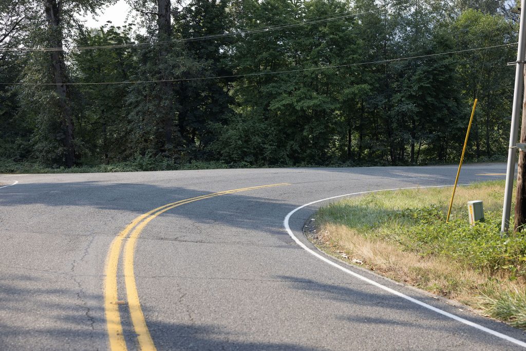 Curved road with trees