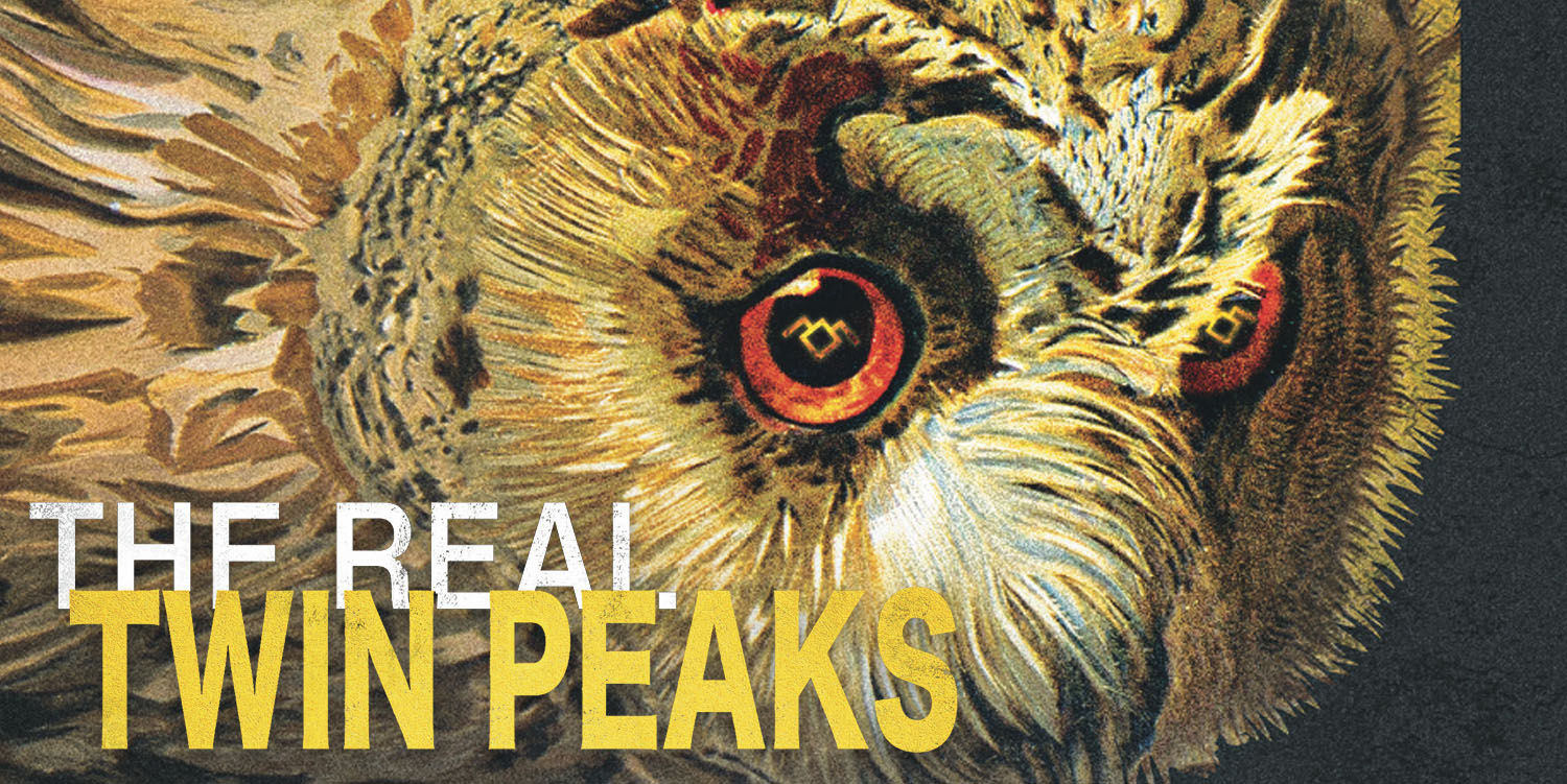 Close up of owl's face