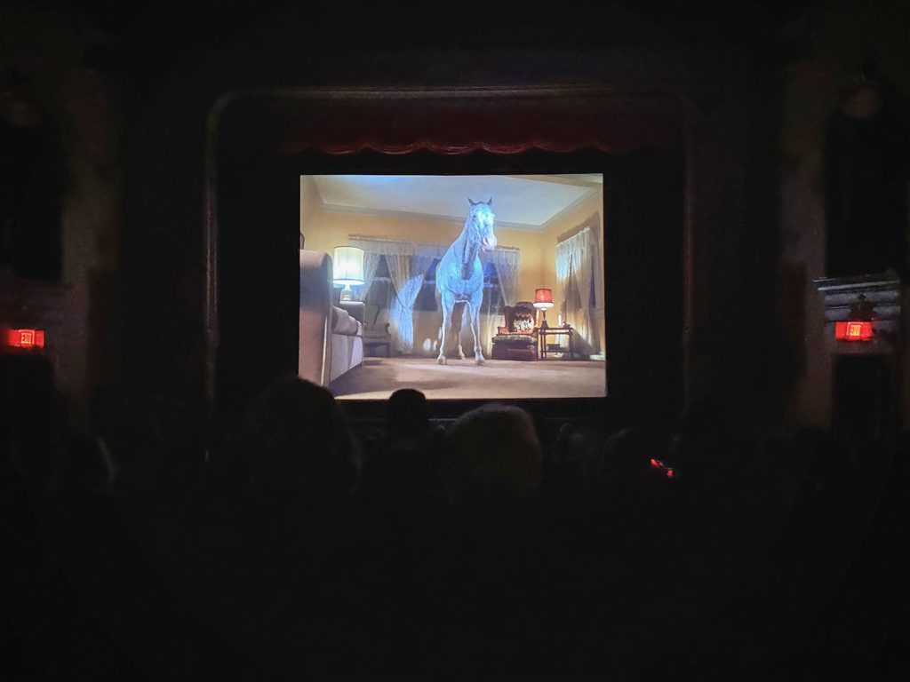 White horse on a movie screen