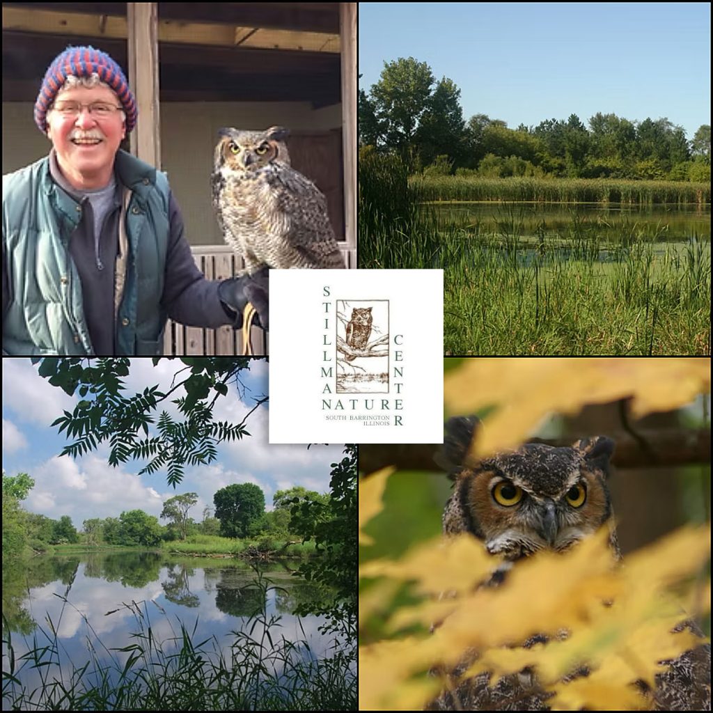 Image collage from Stillman Nature Center