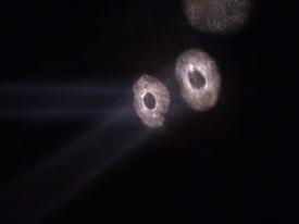 02_TPB_Vacant_OwlCave_2018LightsOnWall01