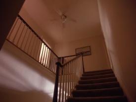 02_TPB_Vacant_PalmerPart1_1000Stairs02