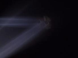 04_TPB_Vacant_OwlCave_2018LightsOnWall03