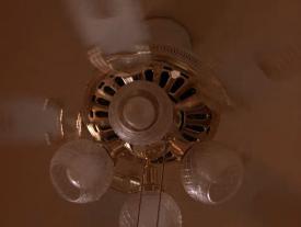 06_TPB_Vacant_PalmerPart1_1000Fan