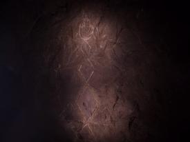07_TPB_Vacant_OwlCave_2018PWall02