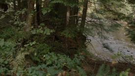 08_TPB_Vacant_JackRabbits_Part14_River