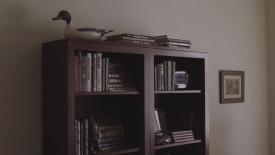 Bookshelf in an paratment