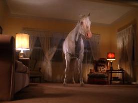 19_TPB_Vacant_PalmerPart2_2007Horse01