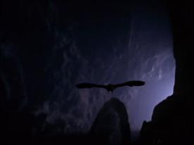 20_TPB_Vacant_OwlCave_2018OwlFlying01