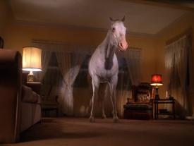 20_TPB_Vacant_PalmerPart2_2007Horse02