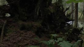 21_TPB_Vacant_JackRabbits_Part14_Portal01