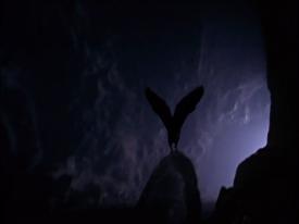 23_TPB_Vacant_OwlCave_2018OwlFlying03