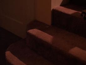 28_TPB_Vacant_PalmerPart1_1005Stairs