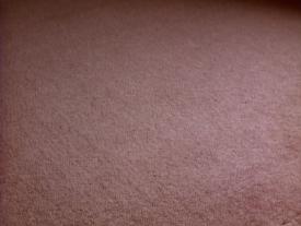 00_E_TPB_Vacant_PalmerPart1_2001Carpet02