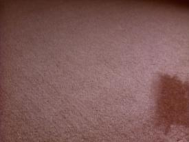 00_F_TPB_Vacant_PalmerPart1_2001Carpet03