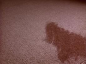 00_G_TPB_Vacant_PalmerPart1_2001Carpet04