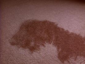 00_H_TPB_Vacant_PalmerPart1_2001Carpet05