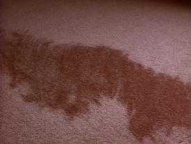 00_I_TPB_Vacant_PalmerPart1_2001Carpet06