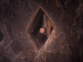 42_TPB_Vacant_OwlCave_2018WallDiamondClose01