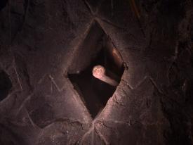 46_TPB_Vacant_OwlCave_2018OwlSymbolDiamond01