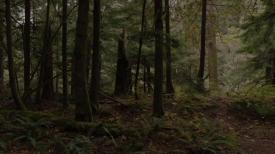 50_TPB_Vacant_JackRabbits_Part16_Trees02