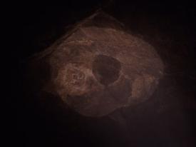 53_TPB_Vacant_OwlCave_2018Celing02