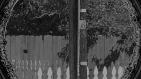 Utility pole with a number 6