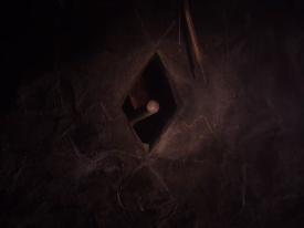 58_TPB_Vacant_OwlCave_2018OwlSymbolAxe2