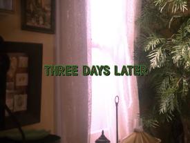 59_TPB_Vacant_PalmerPart2_2010ThreeDaysLater