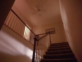 60_TPB_Vacant_PalmerPart2_2010Stairs