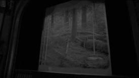 Movie screen with an image of the woods