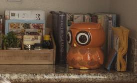 Part04_Jones House_Owl Cookie Jar