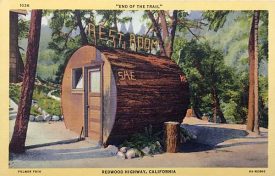 TPB Postcard California 1036 Curteich Grundy