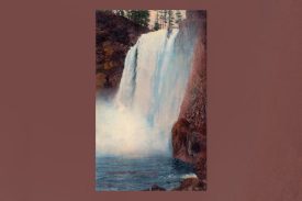 TPB Postcard SnoqualmieFalls 12732 AcmegraphCo Chicago
